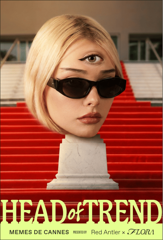 Head Of Trend