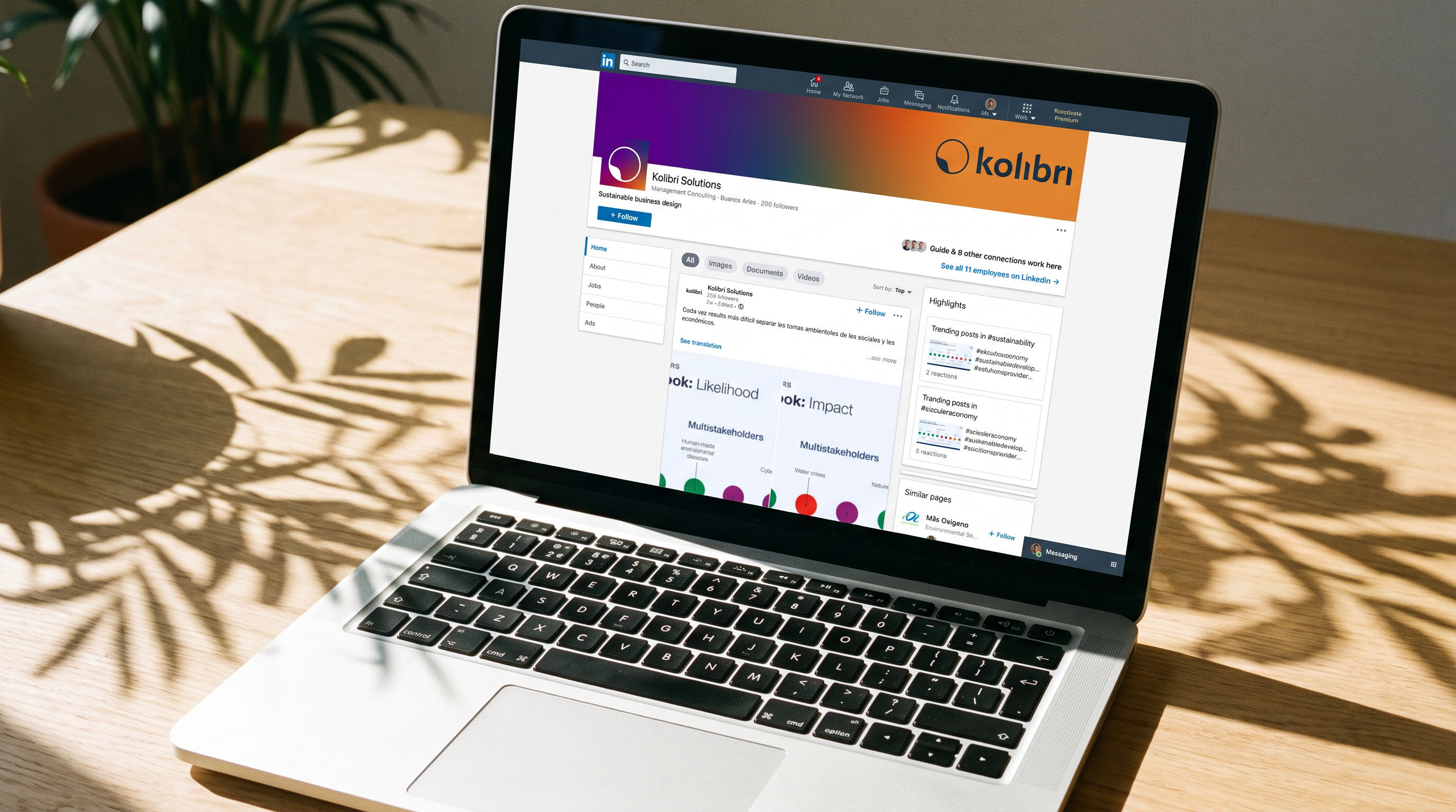 Kolibri, brand identity, image 23