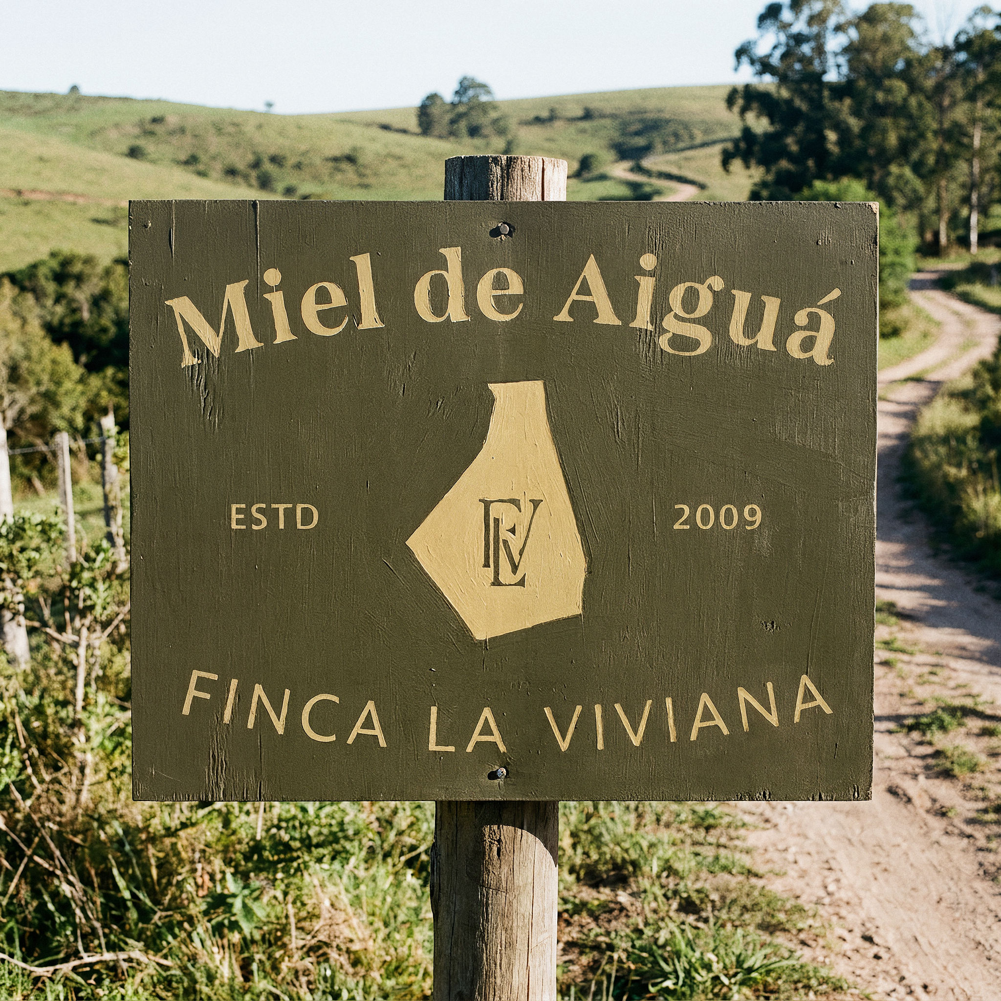 Miel de Aiguá, brand identity, image 23