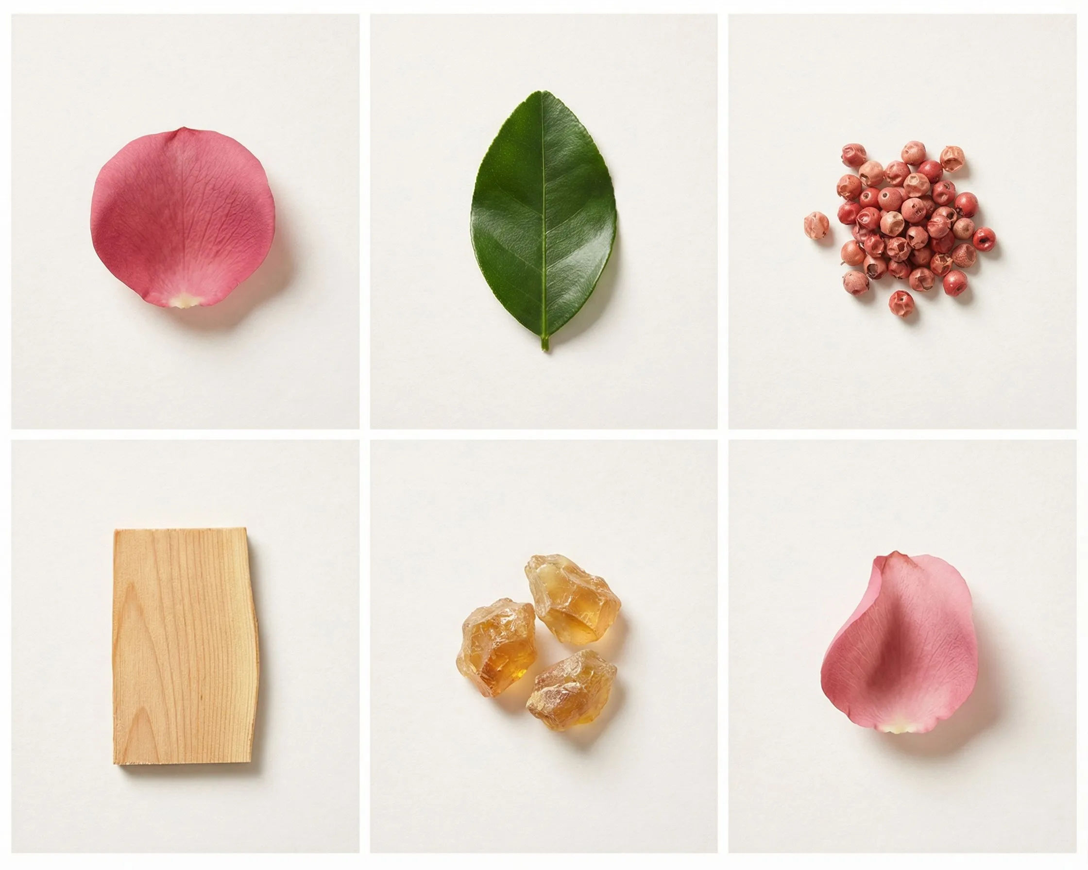 The Ingredient Apothecary